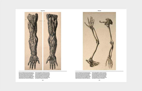 Anatomica: The Exquisite and Unsettling Art of Human Anatomy