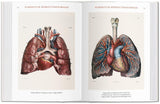 Atlas of Human Anatomy and Surgery