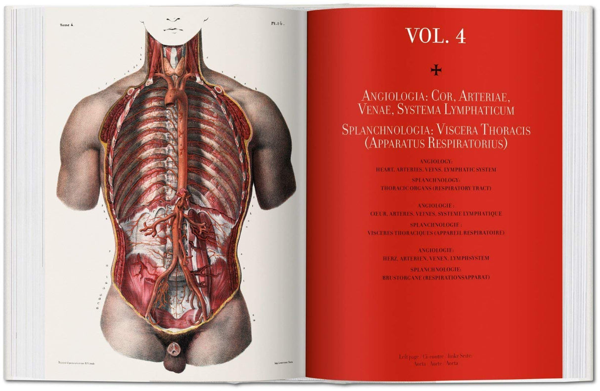 Atlas of Human Anatomy and Surgery