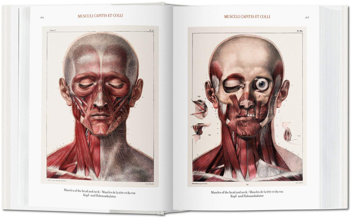 Atlas of Human Anatomy and Surgery