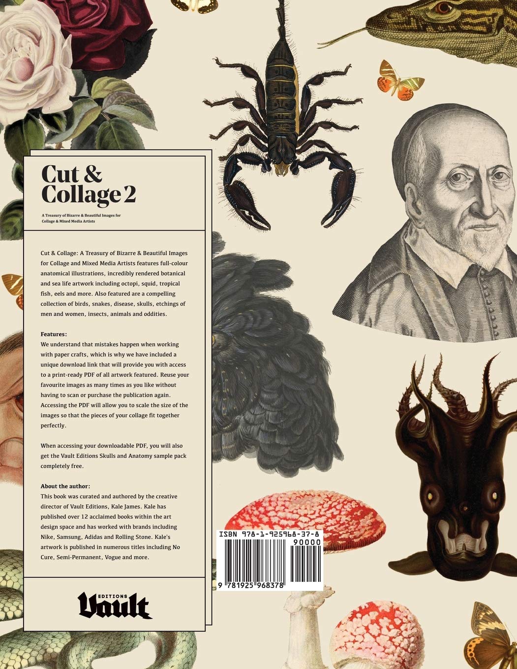 Cut and Collage Volume 2 – Orbit DVD