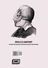 Skulls and Anatomy