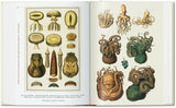 Cabinet of Natural Curiosities (Seba)