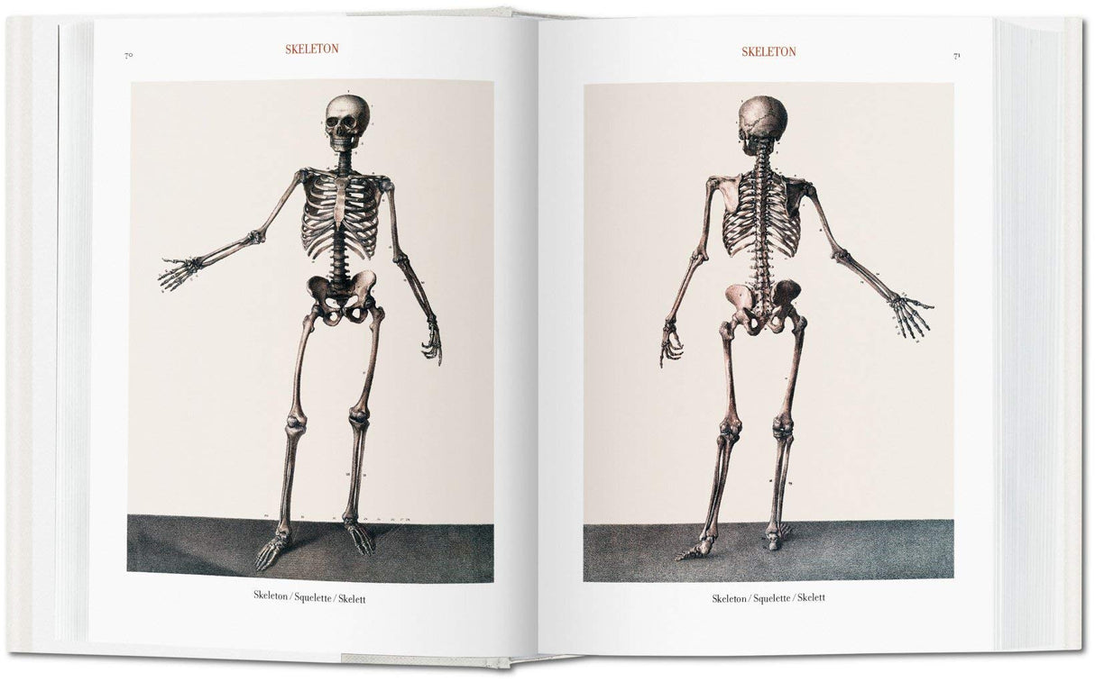 Atlas of Human Anatomy and Surgery