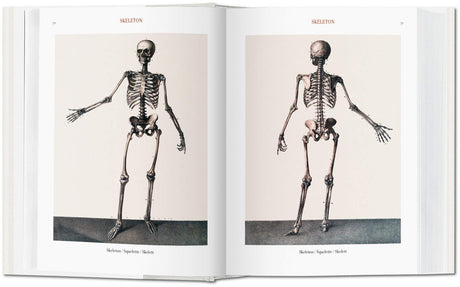 Atlas of Human Anatomy and Surgery
