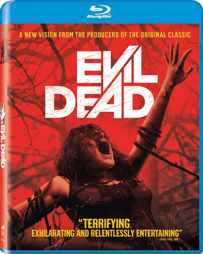 Evil Dead (2013) USED