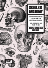 Skulls and Anatomy