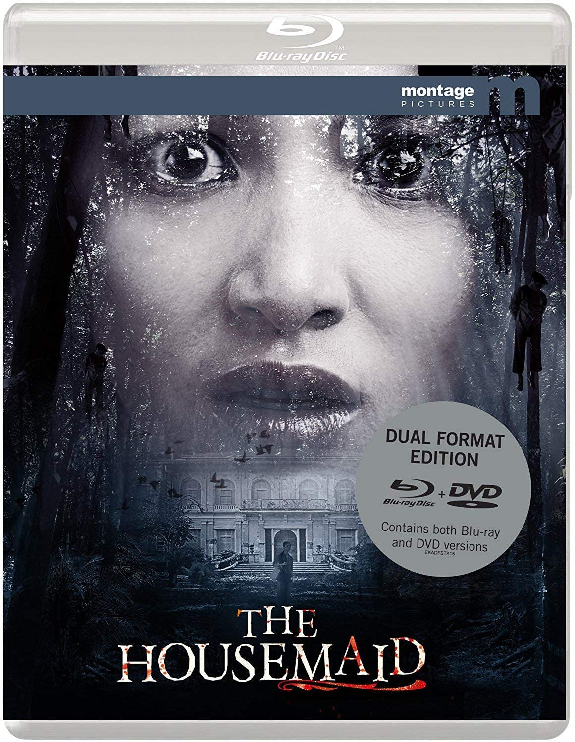 The Housemaid (Region B)