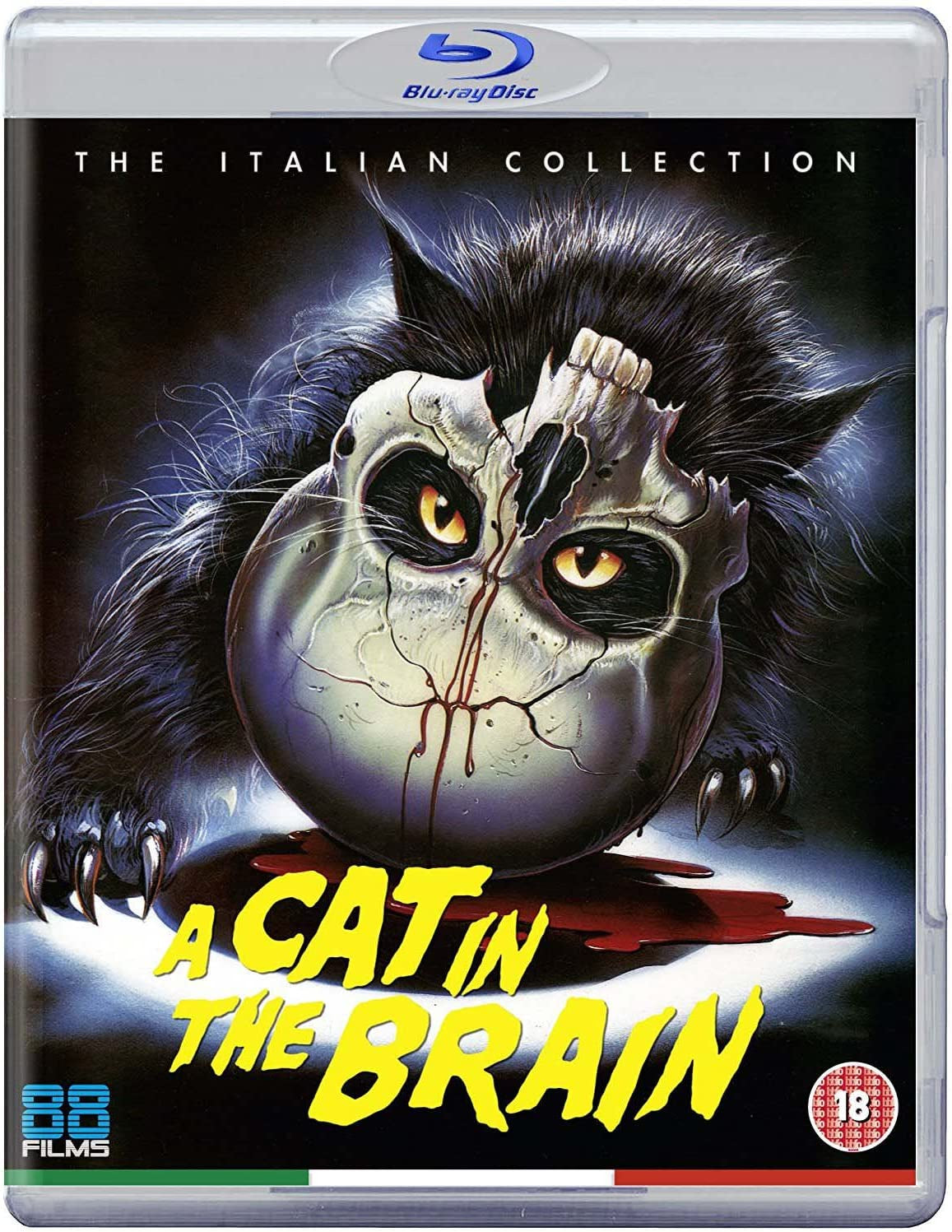 A Cat in the Brain (Region B) USED