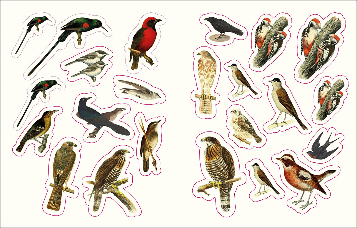 The Forests, Fairies and Fungi Sticker Anthology