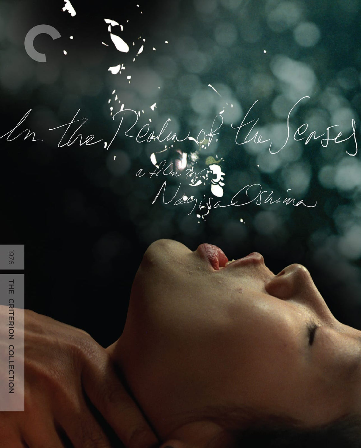In the Realm of the Senses (DVD)