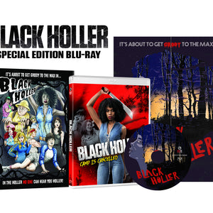 Visual Vengeance / Wild Eye Releasing