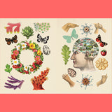 The Antiquarian Sticker Book