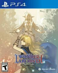 Record Of Lodoss War: Deedlit In Wonder Labyrinth Playstation 4