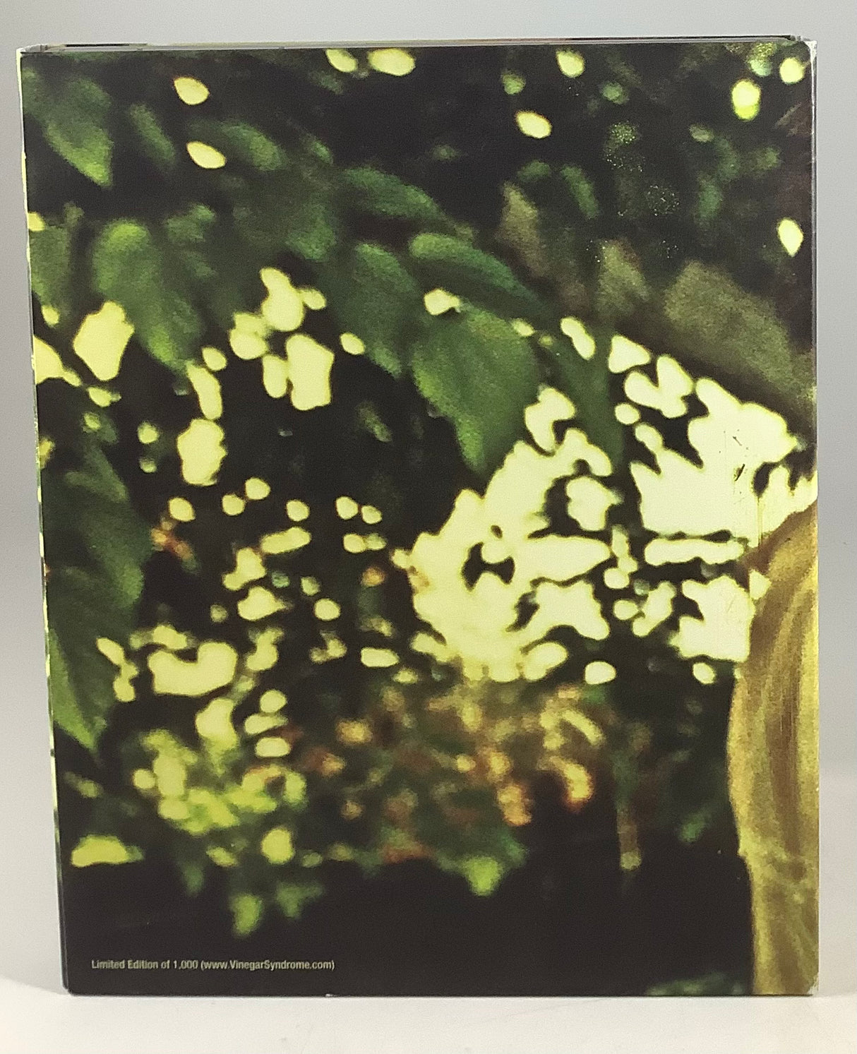 Double Exposure w/SLIP USED