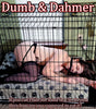 Dumb & Dahmer (Plus Dickshark / Dicknado / Clowna Nostra)