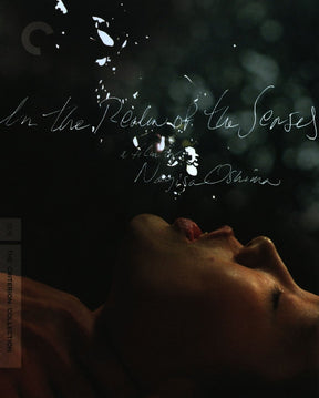 In The Realm Of The Senses (#466) USED