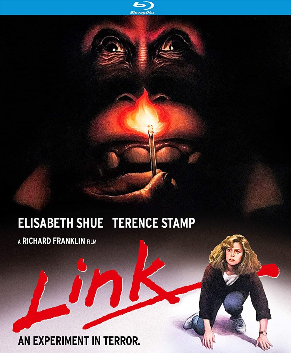 Link USED
