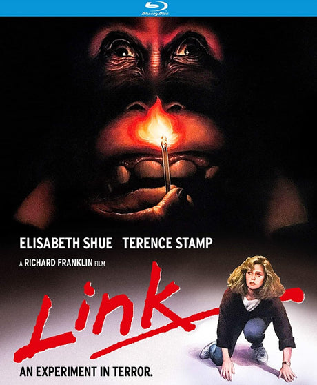 Link USED