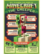 Minecraft Creepy Behavior Poster PICKUP ONLY - Posters/Stickers/Art