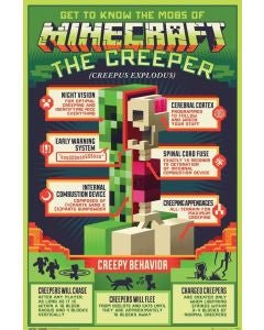 Minecraft Creepy Behavior Poster PICKUP ONLY