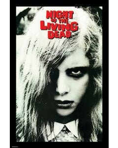 Night of the Living Dead Poster PICKUP ONLY
