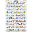 Pokemon JOHTO Poster PICKUP ONLY
