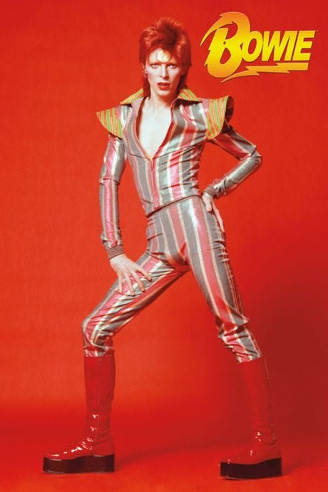 Poster David Bowie Glam PICKUP ONLY