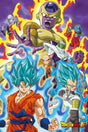 Poster Dragon Ball Z Super God Super PICKUP ONLY