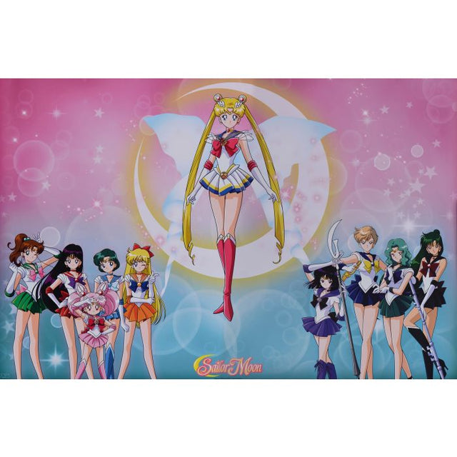 Sailor Moon Sailor Warriors Poster PICKUP ONLY - Posters/Stickers/Art