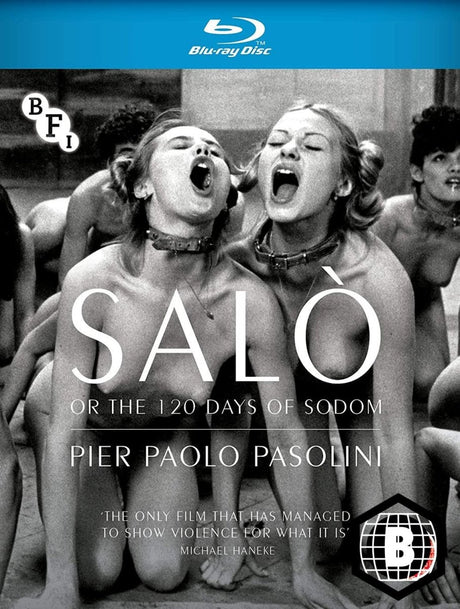 Salo, or the 120 Days of Sodom (Region B)