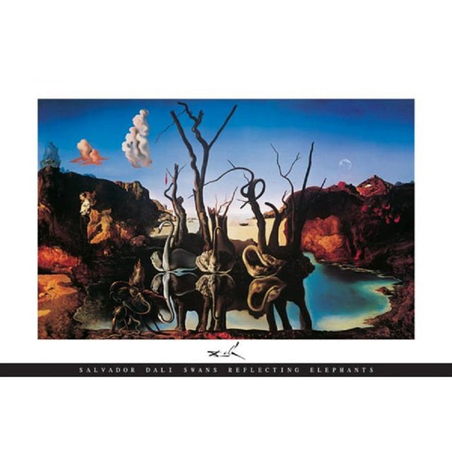 Salvador Dali Swans Poster PICKUP ONLY - Posters/Stickers/Art