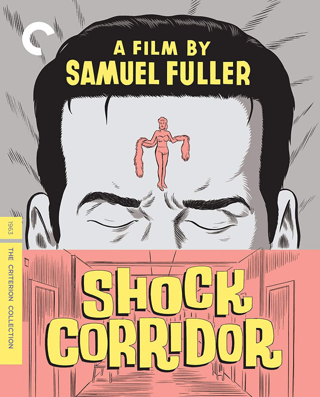 Shock Corridor (#19) USED