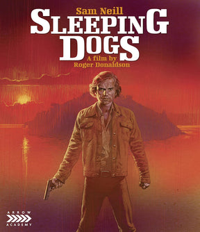 Sleeping Dogs (Special Edition) USED
