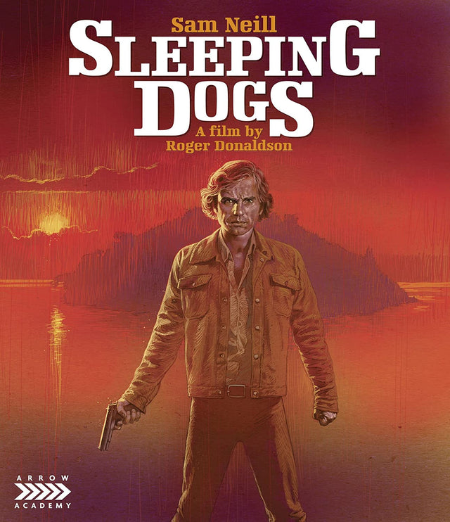 Sleeping Dogs (Special Edition) USED