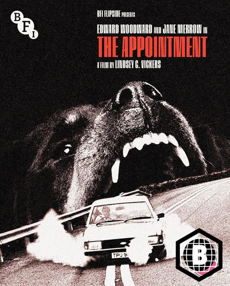 The Appointment (Region B)