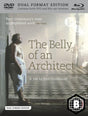 The Belly of an Architect (Region B)