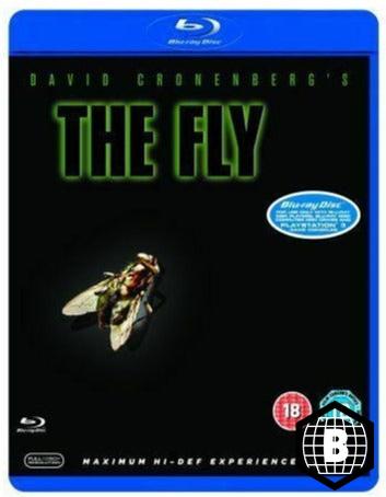 The Fly (Region B)