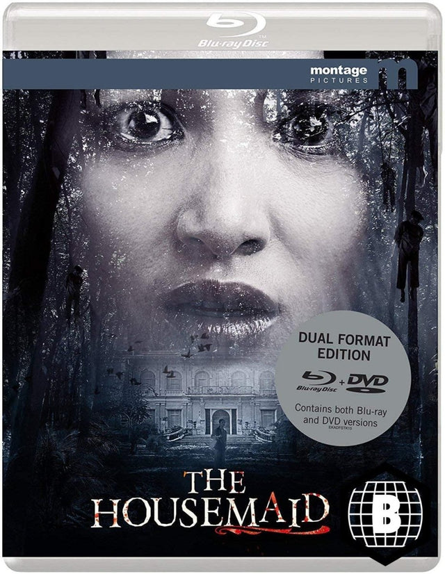 The Housemaid (2016) (Region B)