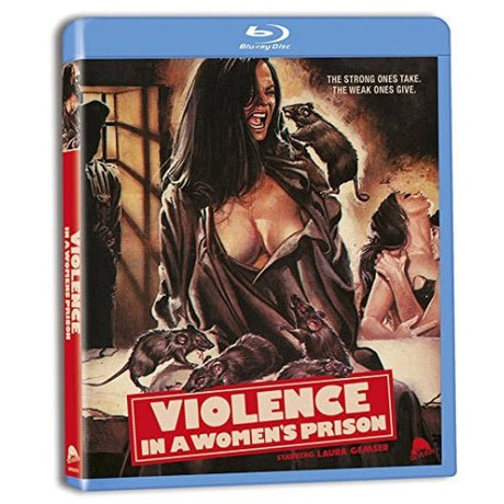 Violence in a Women's Prison